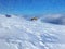 People driving snowmobile in winter mountain. Winter snowfall