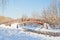 People, ducks, bridge and snowy trees in winter