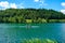 People engaging in the activity of rowing on a tranquil lake surrounded by scenic forests