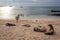 People enjoy the beach with Sea lion that live near the beach in San Cristobal before sunset ,Galapagos