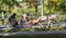 People enjoy carriage ride in Central Park