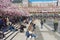 People enjoy lunchtime under blossoming cherry trees at Kungstradgarden in Stockholm, Sweden.