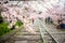 People enjoy spring season at Keage incline with sakura cherry blossoms in Kyoto, Japan. Japan tourism, nature life, or