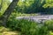 People enjoy a summer`s day near a water lily filled lake