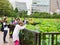 People enjoy taking photograph at lotus pond in Ueno park