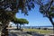 People enjoying a beautiful evening with views of Monterey Bay, along the bea