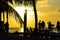 People Enjoying a Caribbean Sunset, Split, Caye Caulker, Belize