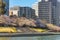 People enjoying cherry blossoms in Sumidagawa terrace along Sumida River.