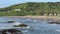 People enjoying at the green beach