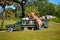 People enjoying safari and taking pictures of a giraffe at Bush Gardens Theme Park