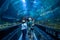 People enjoying Shark encounter tunnel at Seaworld 3