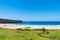People enjoying the sunny weather at Pebbly Beach, a popular camping area with great surfing beach and bush walks within
