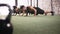 People, exercise and training push ups for workout fitness in gym for sports, athlete practice or cardio. Man, woman and