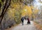 People exercising on a footpath in autumn