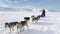 People expedition on dog sled team husky Eskimo road of North Pole in Arctic.