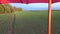 People farmer shadow on agriculture crop field and red umbrella