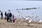 People feed swans at sea, people throw bread to seagulls