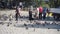 People feeding pigeons in Beyazit square in istanbul, Turkey