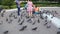 People feeds pigeons