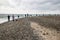 People fishing on danish shore of Oresund, outside the Kronborg castle