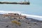 People fishing on end of breakwater beyond shipwreck in beach. Patea coastal landscape