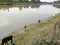 People fishing at Jehlum river