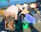 People at the fishing market in Nha Trang, southern Vietnam