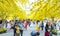 People focus photograph below buried golden apricot trees