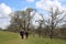 People footpath, Levens Hall Deer Park, Cumbria