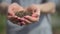 People, gardening, charity, ecology and environment concept - close up of woman cupped hands holding soil