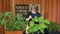 People, gardening, flowers and profession concept - close up of woman or gardener with tablet pc computer.