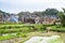 People on gardens in Chengyang village