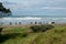 People gather on dunes to view aftermath of Rena d