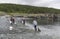 People Gather to Fish for Capelin
