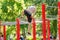 People go in for sports and fitness on a special equipped gym outdoors in city park,