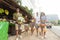 People Group Holding Bananas And Pineapple On Street Traditional Market, Young Man And Woman Travelers