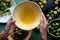 People hand hold kumquat juice that squeezed out of fruits