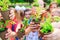 A People Hands Cupping Plant Nurture Environmental.