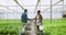 People, handshake and teamwork for plants in greenhouse for partnership in sustainable development. Man, woman and