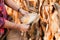 people harvesting - portrait of farmer holding corn