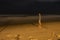 People have fun in beautil brazilian beach at night