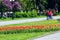 People have a rest in city park with tulips