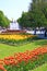 People have a rest in city park with tulips