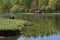 People have a rest at the lake in a spring city park