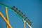 People having fun amazing Kraken rollercoaster at Seaworld in International Drive area 6