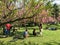 People Having Fun In The Japanese Garden Of Herastrau Public Park