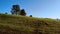 People having fun on a quad bike in countryside.