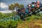 People having fun terrific Cobras Curse at Busch Gardens 13.