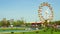 People Having Fun In Youths Public Amusement Park