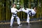 People high kicks during training of taekwondo outdoors bamboo background